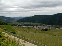 Weingut und Gstezimmer Erwin und Anna Maria Jamek<br/>Urlaub im Herzen der Wachau-bild604.jpg