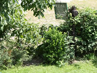 Weingut und Gstezimmer Erwin und Anna Maria Jamek<br/>Urlaub im Herzen der Wachau-bild806.jpg