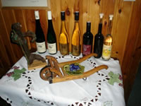 Weine vom Weingut Erwin und Anna Maria Jamek