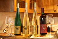 Weine vom Weingut Erwin und Anna Maria Jamek